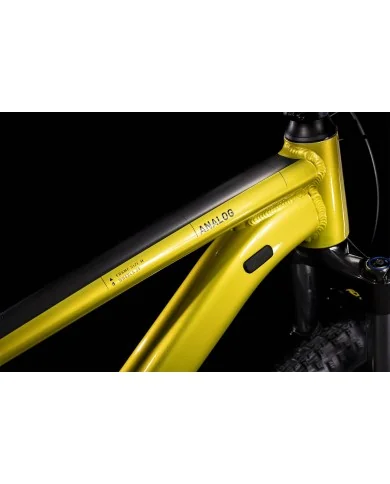 ANALOG FLASHLIME N BLACK