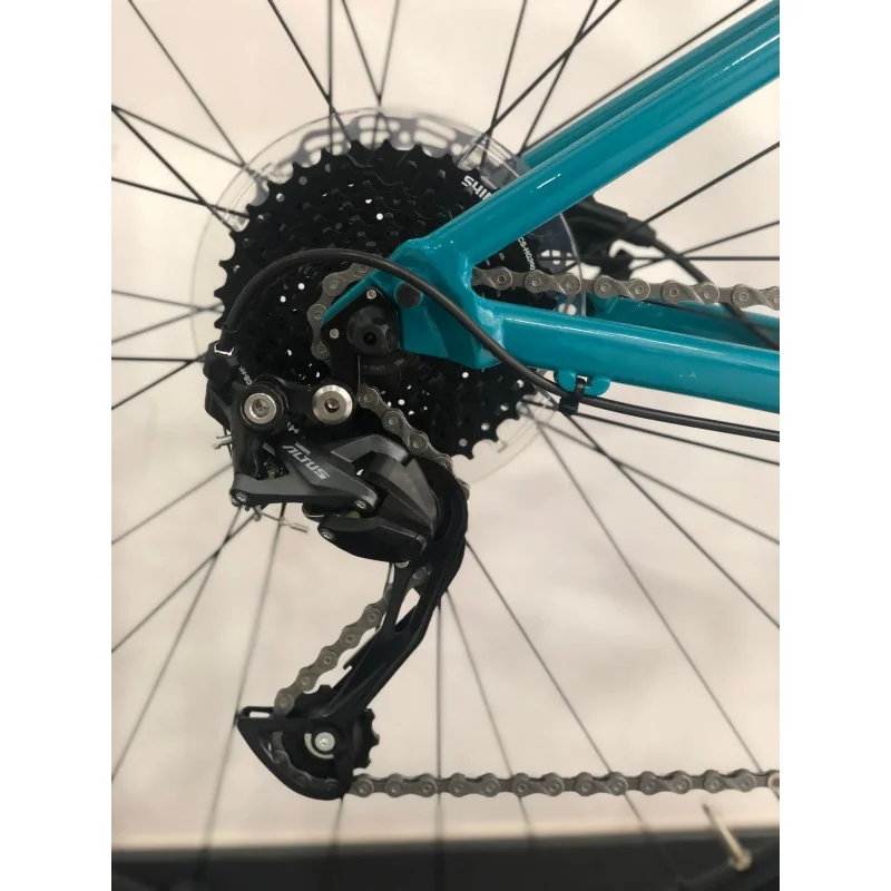 FOCUS WHISTLER 3.6 (2023)