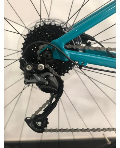 FOCUS WHISTLER 3.6 (2023)